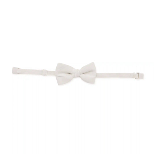 Bow Tie in Oat