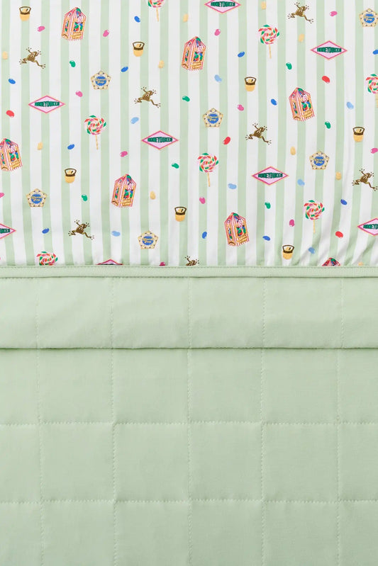 Youth Blanket in Honeydukes 1.0