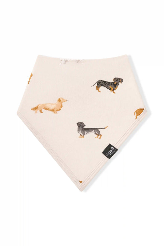 Bib in Dachshund