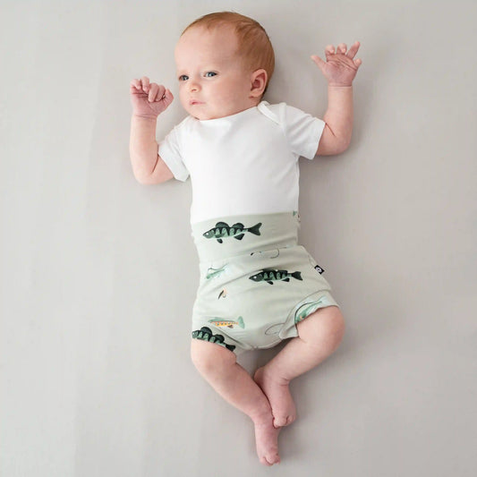 Bummies in Fishing